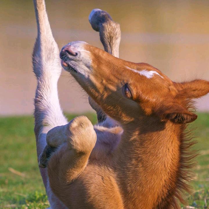 清无影，透无形。