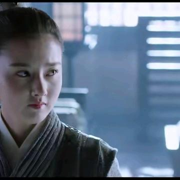 人生一世，草木一休。