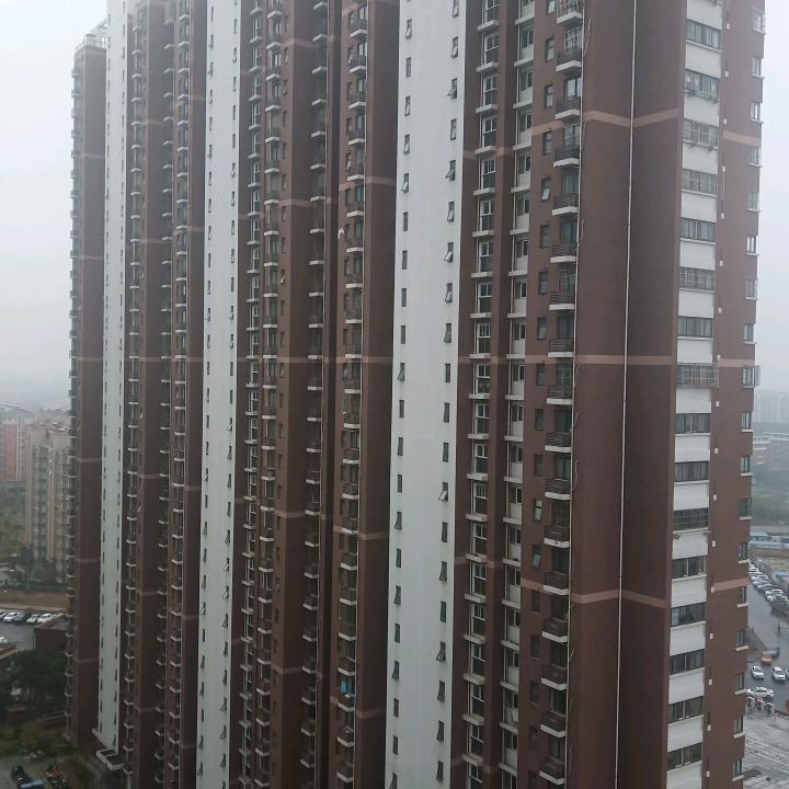 明扬天下，金八滩二哥