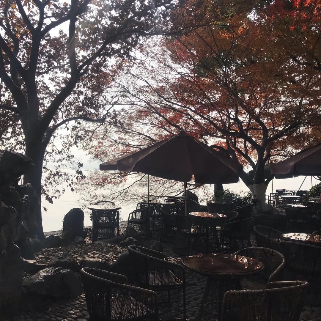 巨野县新顺通家具城（个体工商户）