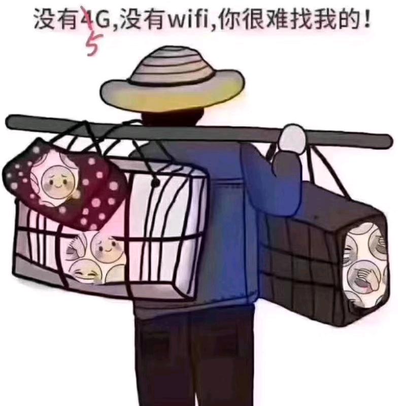 从头再来