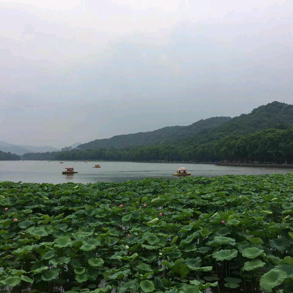 心想事成（春春）