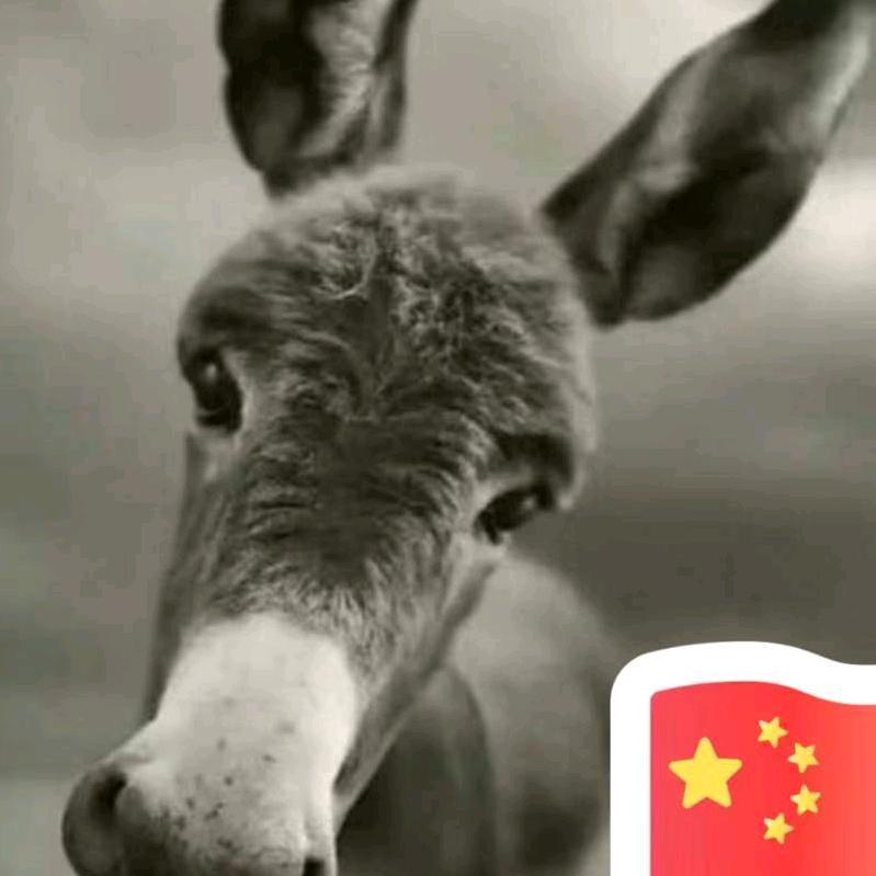 默 默