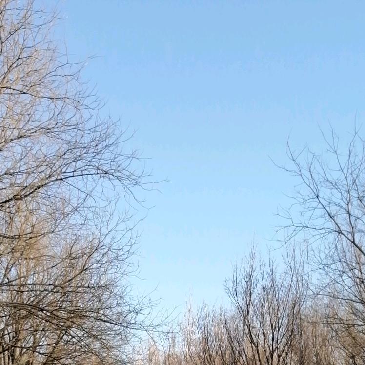 壹钒全铝家居源头工厂