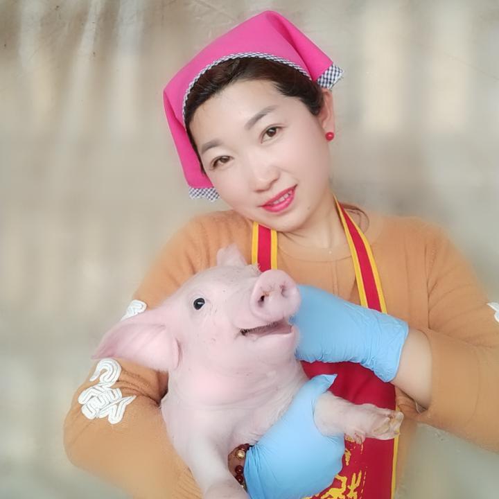 猪姐姐