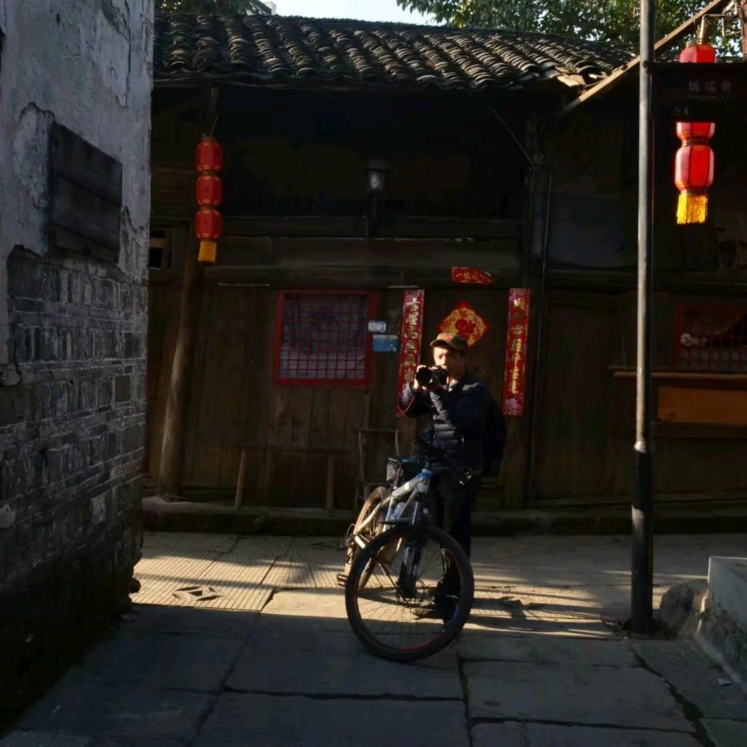 青树
