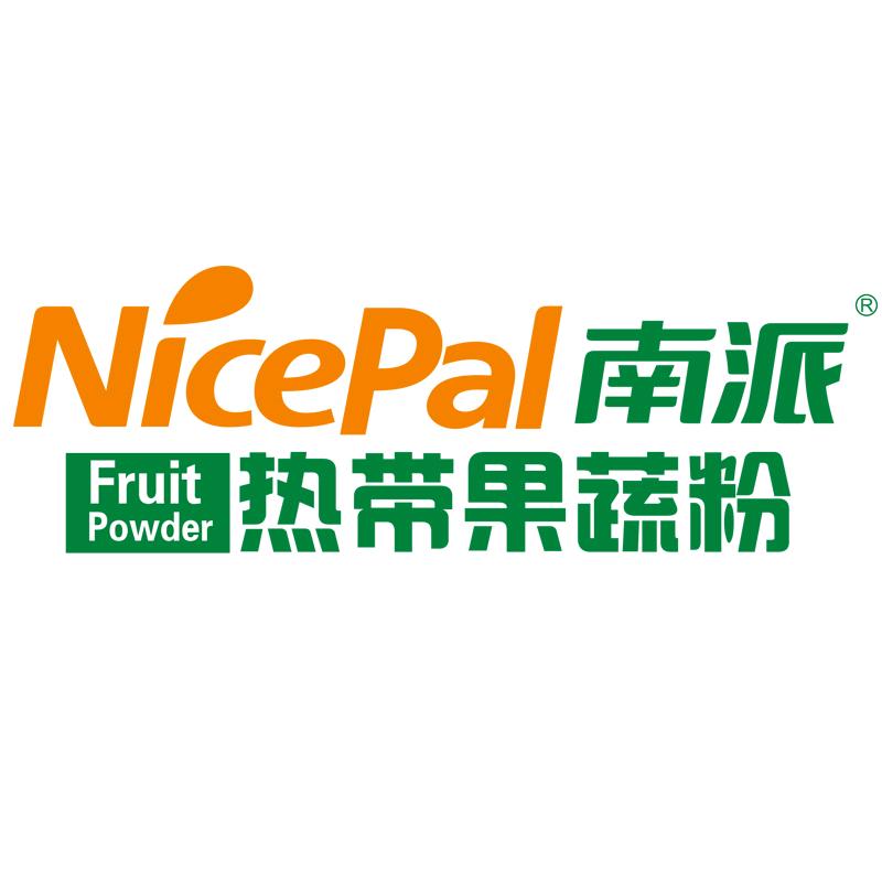 海南南派椰浆粉果蔬粉NFC果浆浓缩果蔬汁