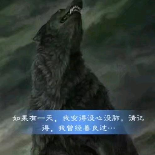 东哥·ꦿ໊ོ