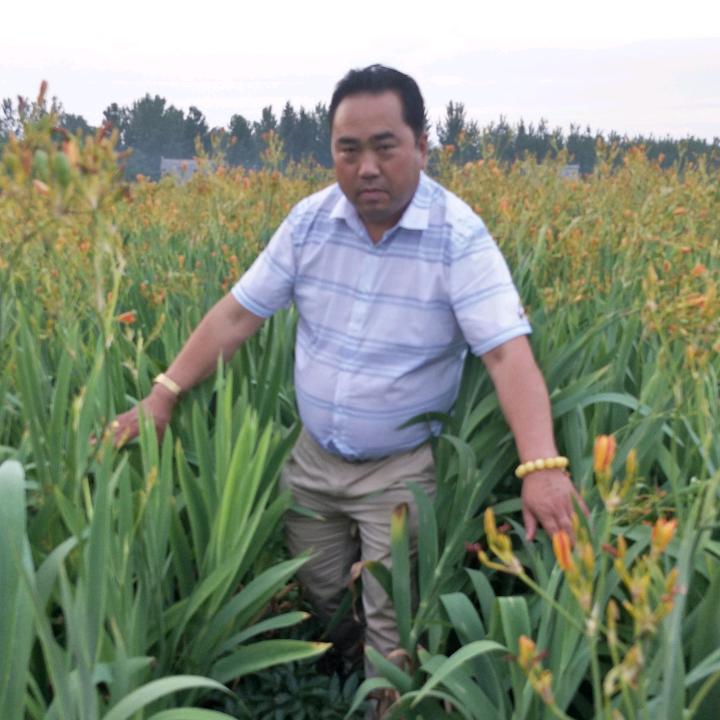 庆东中药材种植