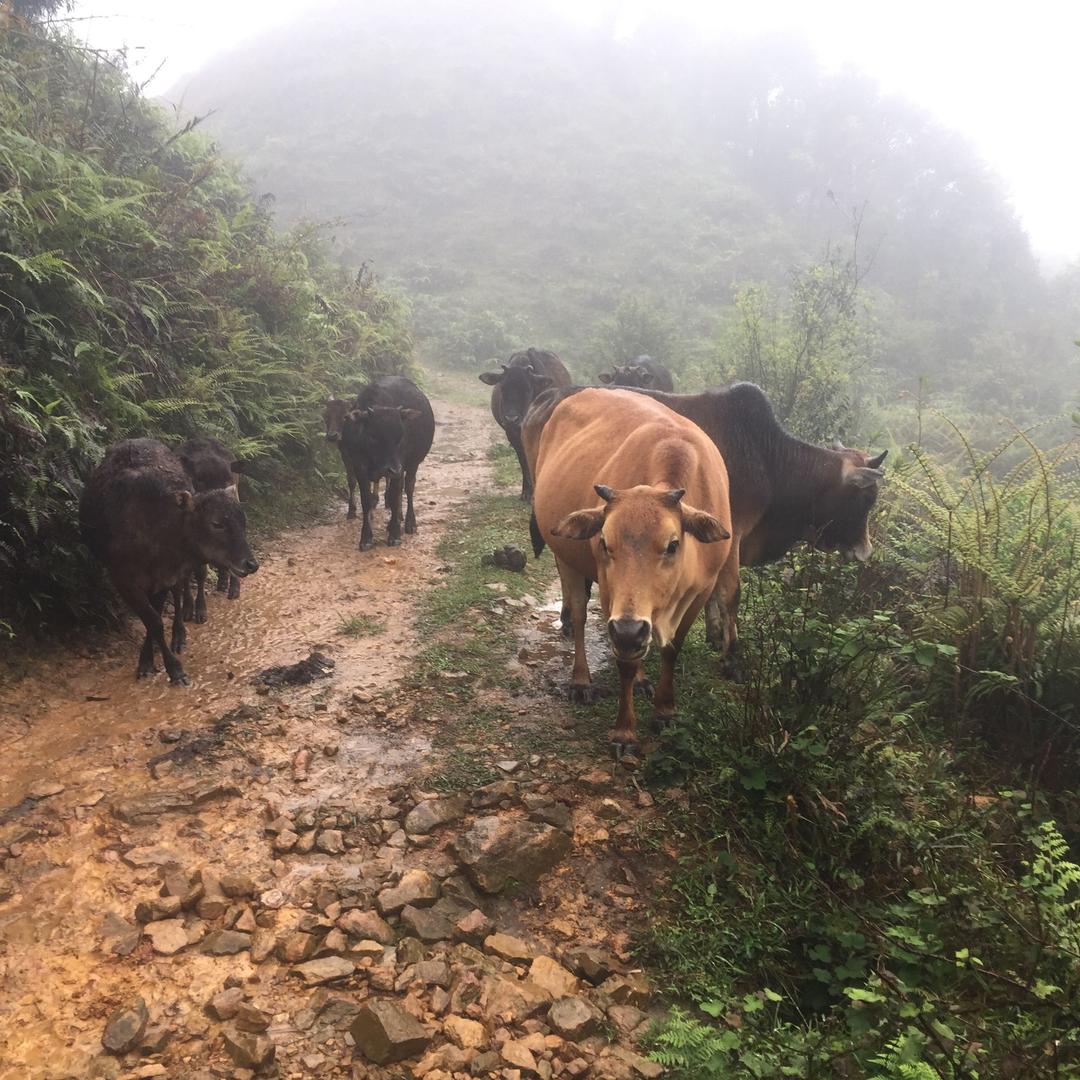 ꧁꫞꯭立哥꫞꧂