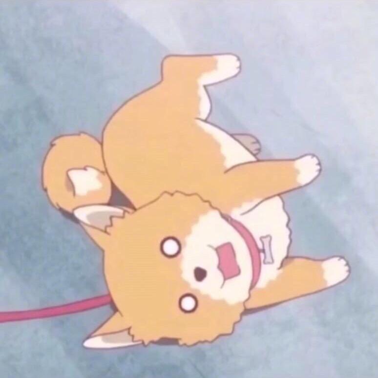 94小挠许