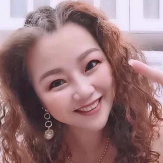 金燕子
