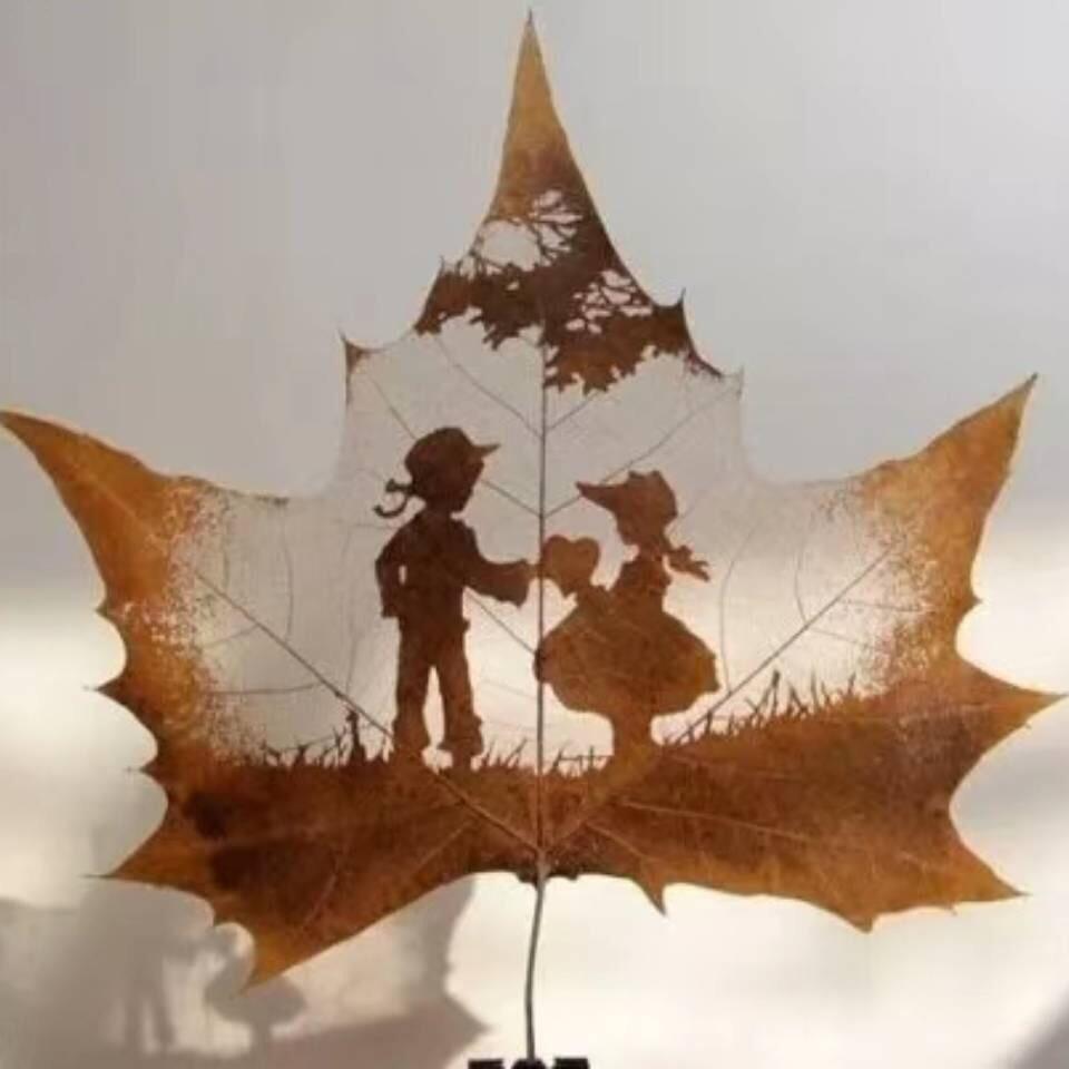 🇨🇳若水💗🎉⚽