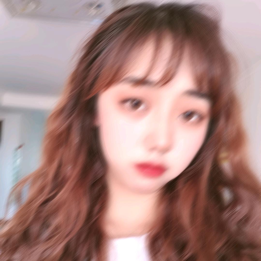 海上孤岛一只猫