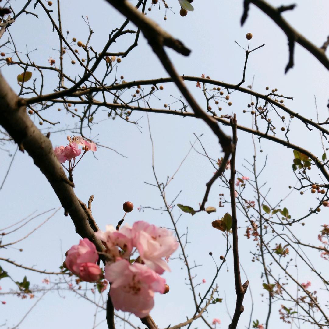 @🥀꧔ꦿ᪲哭᭄了ൢ谁心疼
