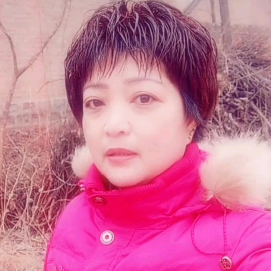 河南李姐 🎤《首播筹备中》