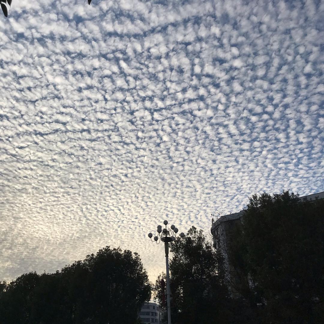 空白