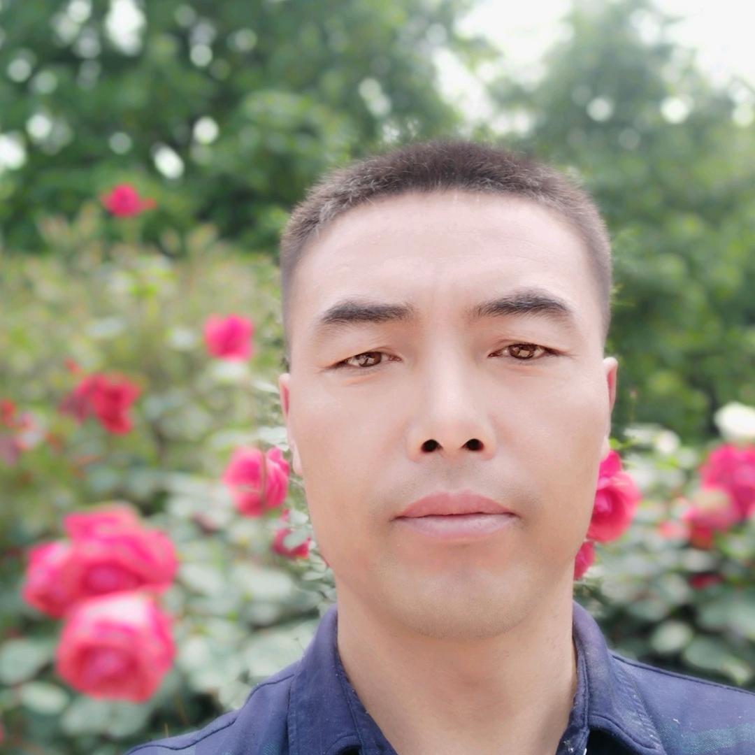 清风许你