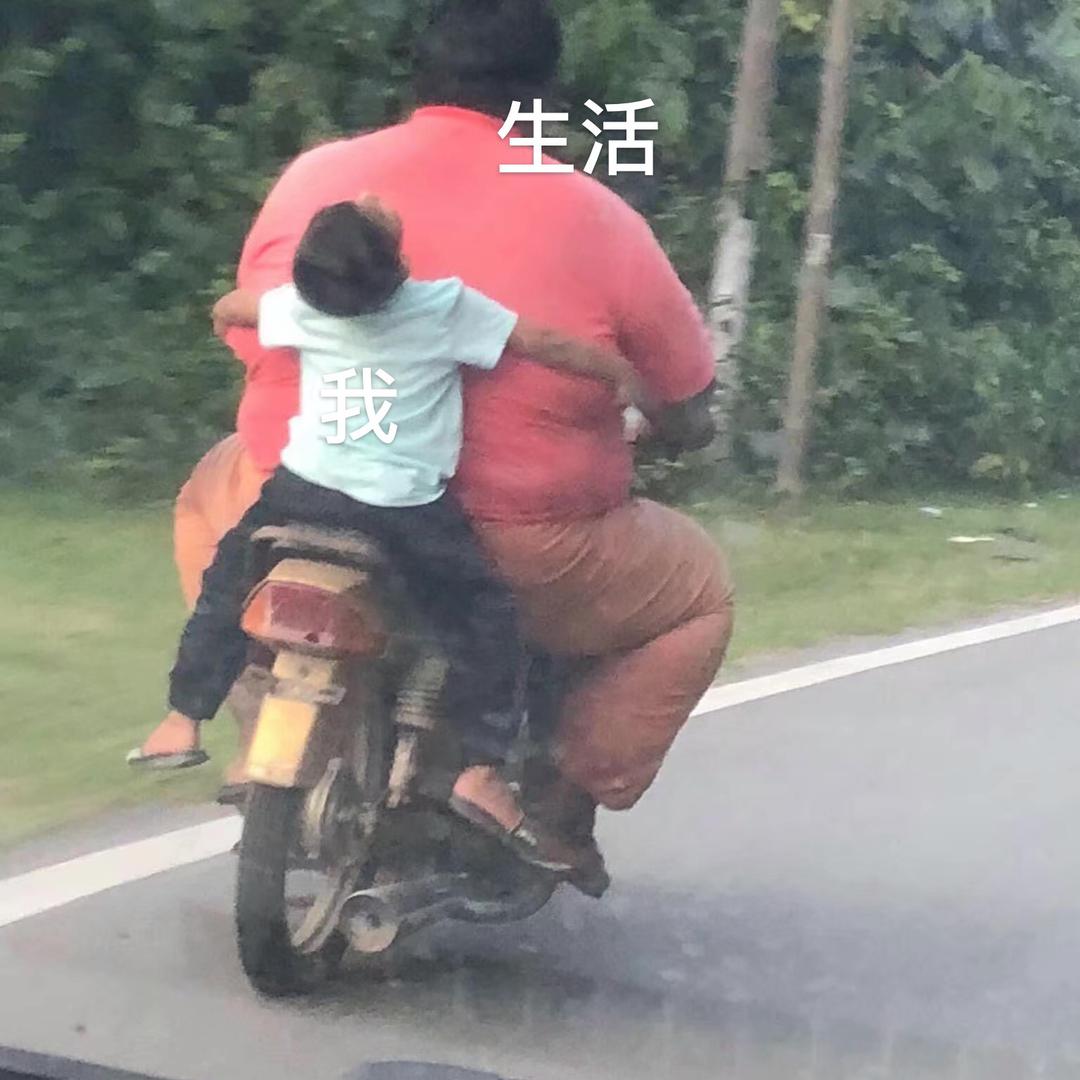 张努力💪
