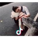 无需言语
