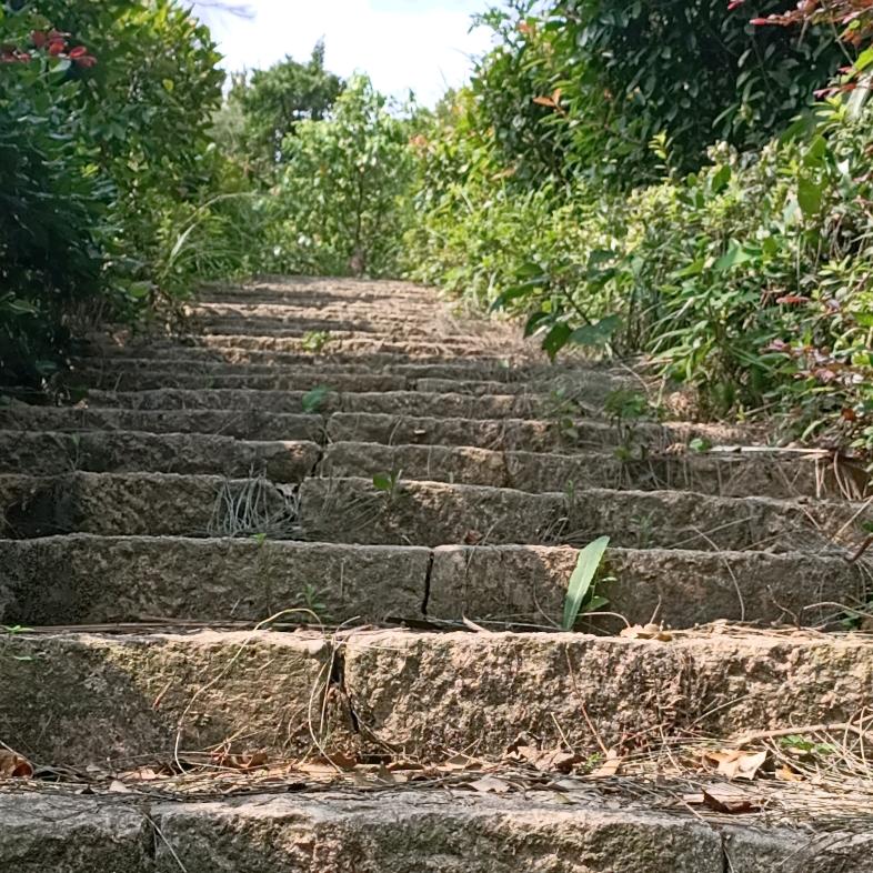 原锅锅