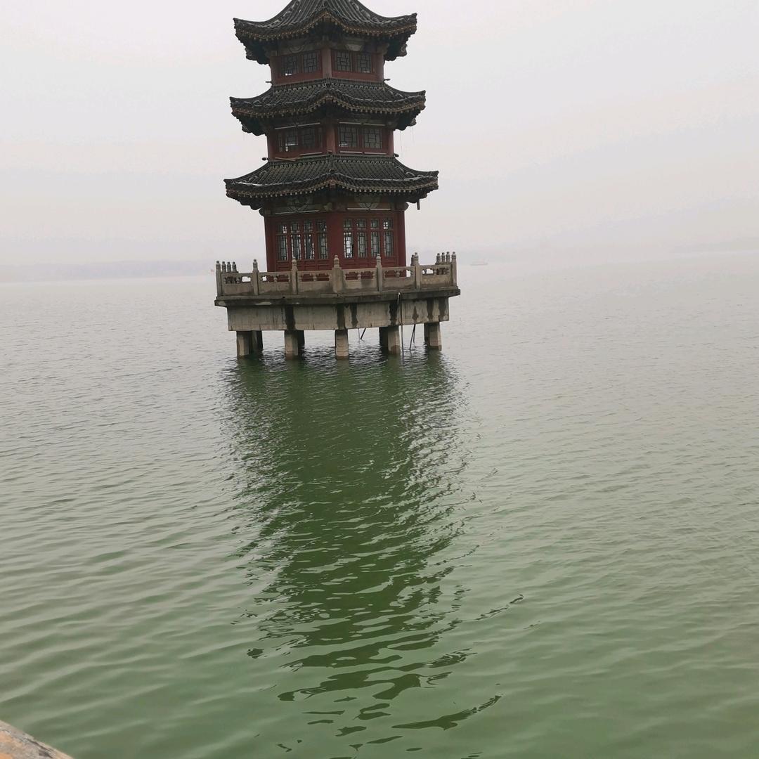 向往未来