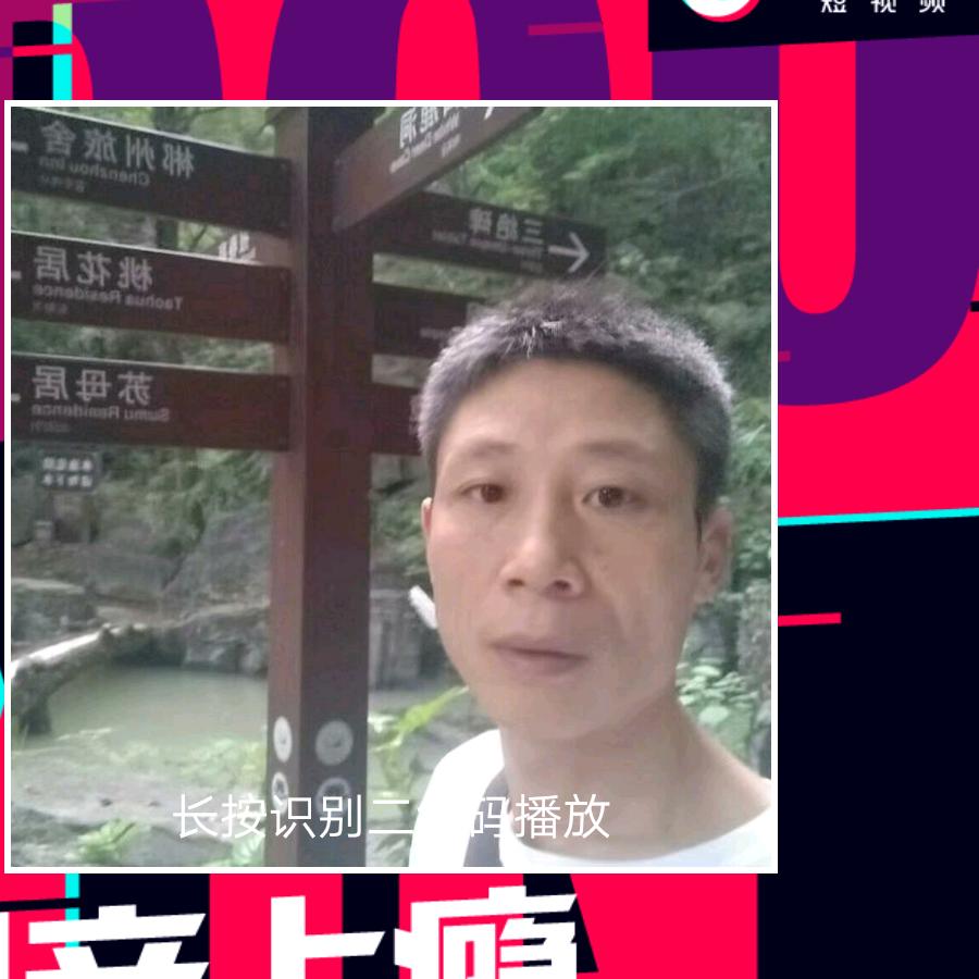蓝海豚