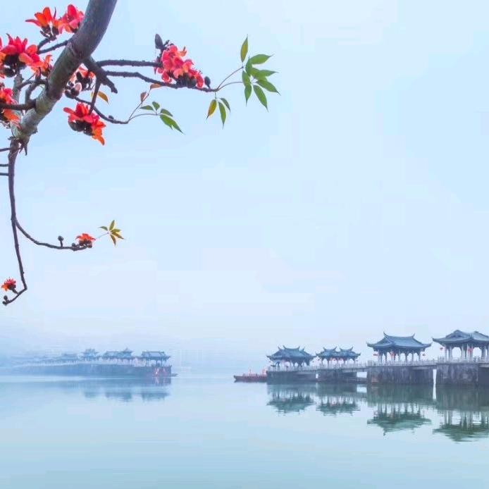 心静如水(拒闲聊)