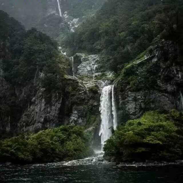 歆泽