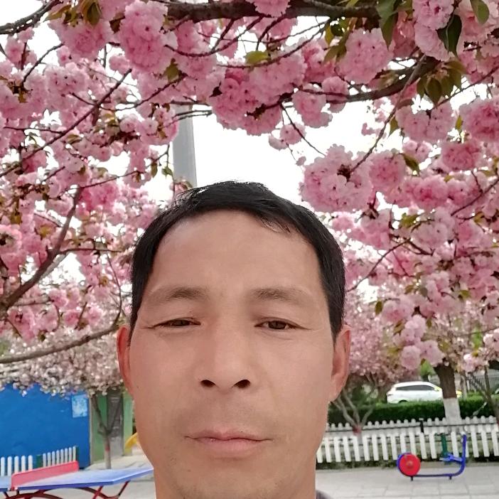 张航