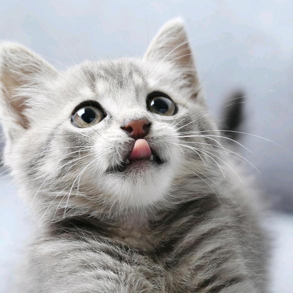 红红火火过大年