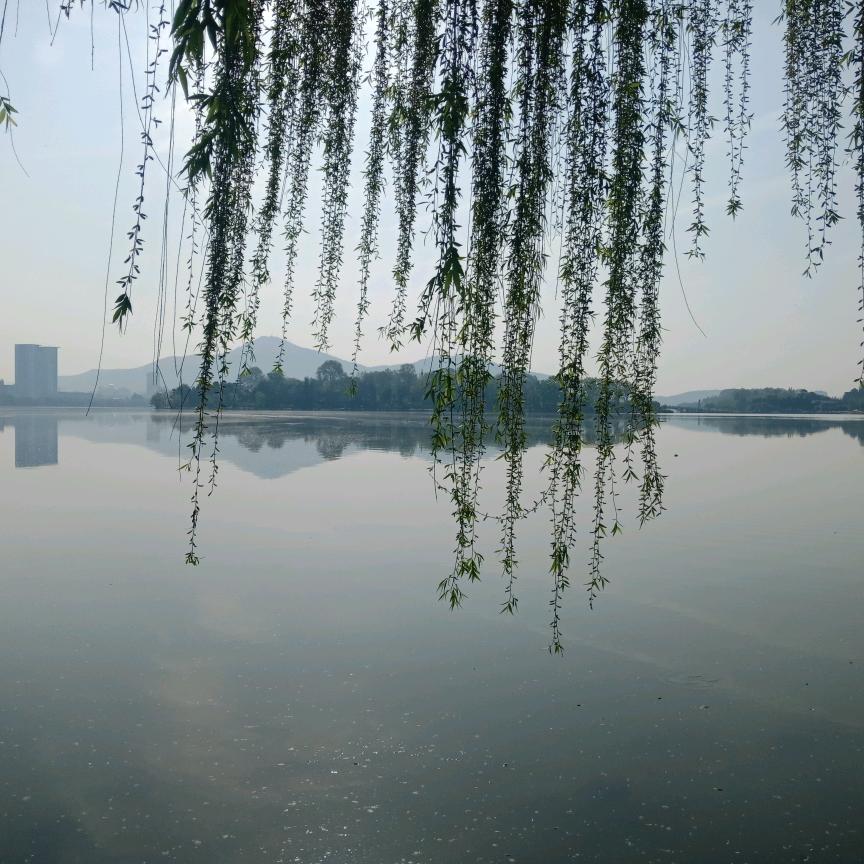 金陵印象