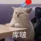 猫猫人