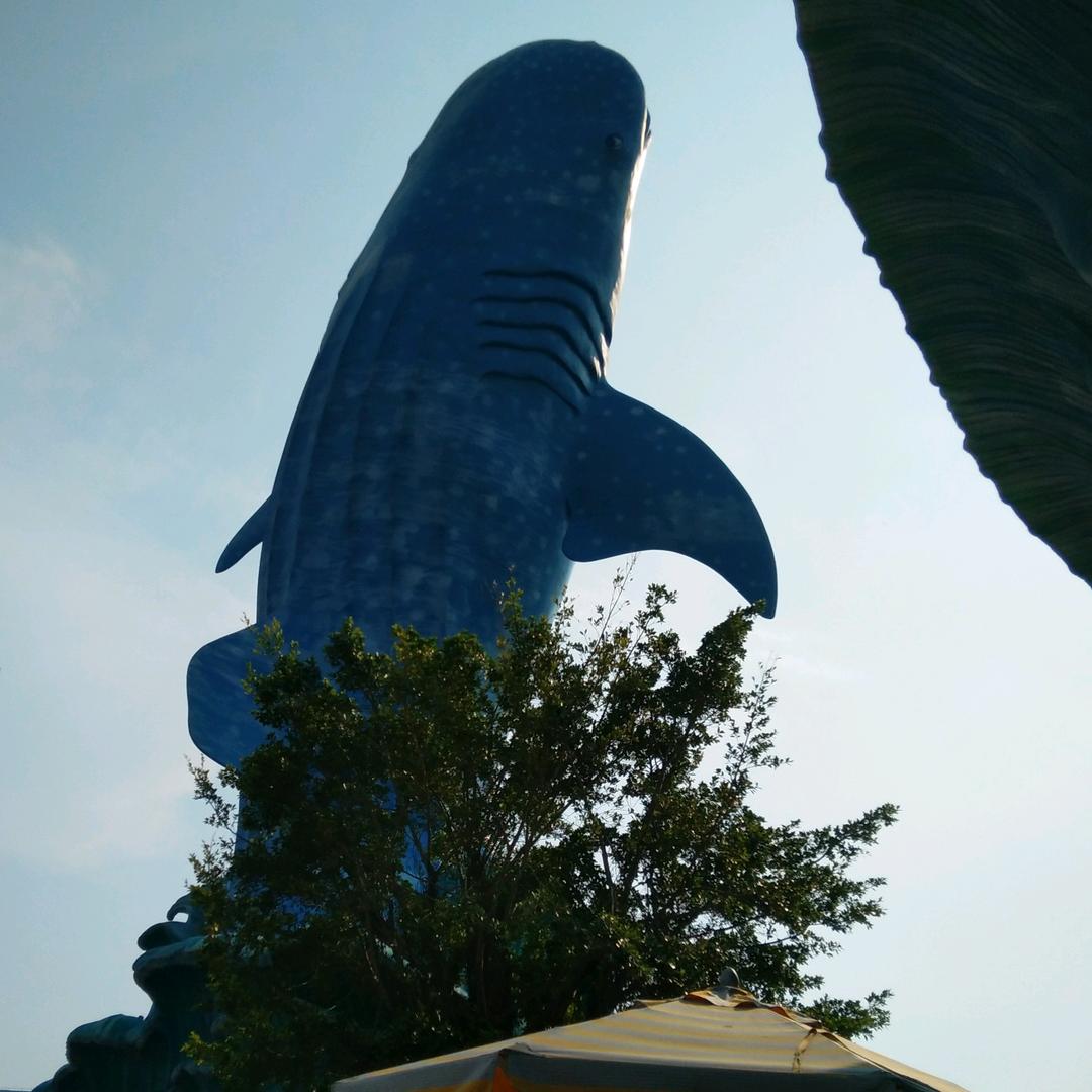 林