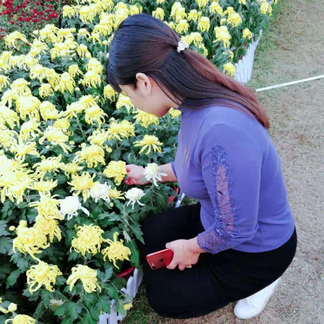 晴天