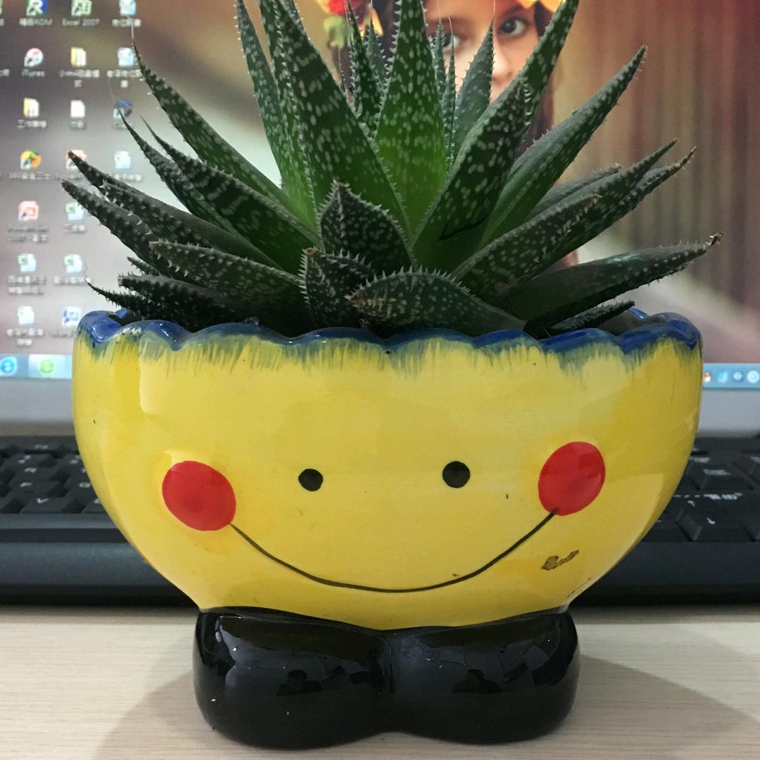等待黎明℡