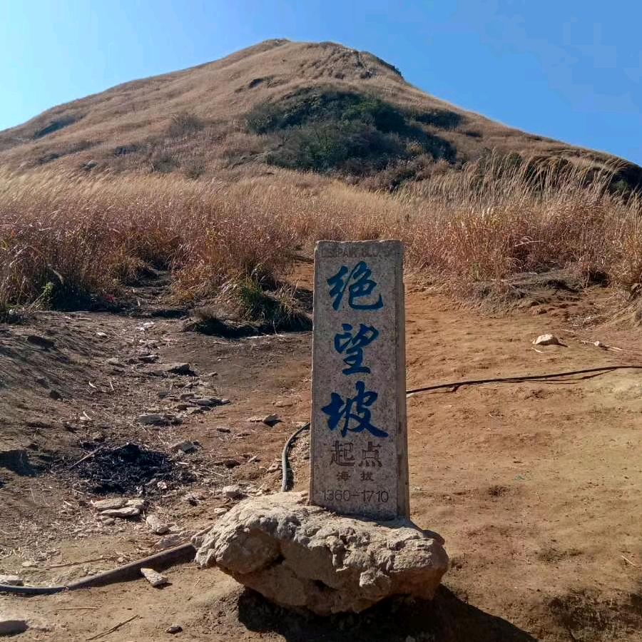 走过一世纪