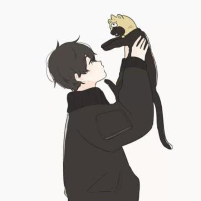 🐱猫