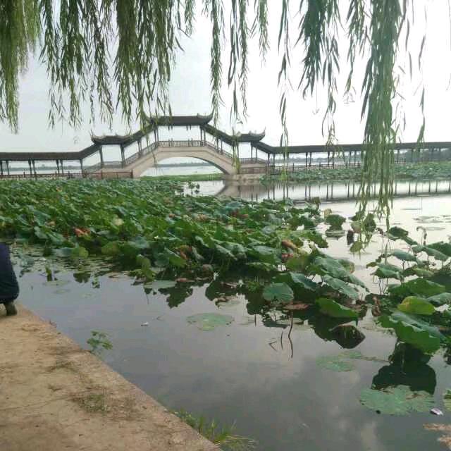 专业混凝土切割