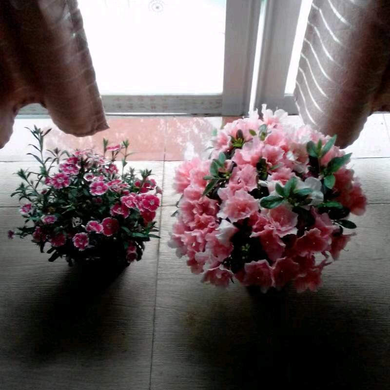 王记炖肉胡辣汤