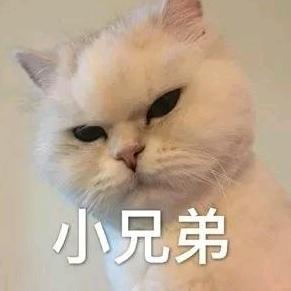 qzuser