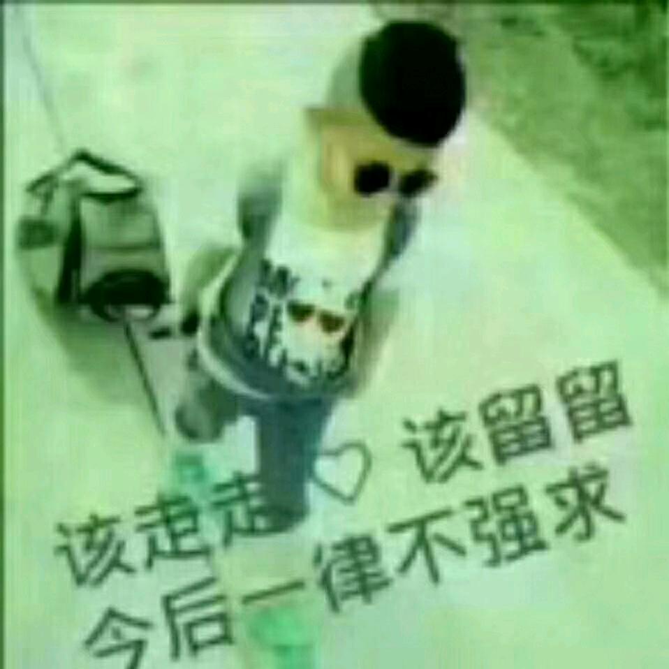 否极@泰来