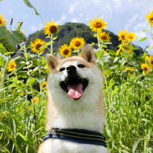 小小年纪就一把年纪