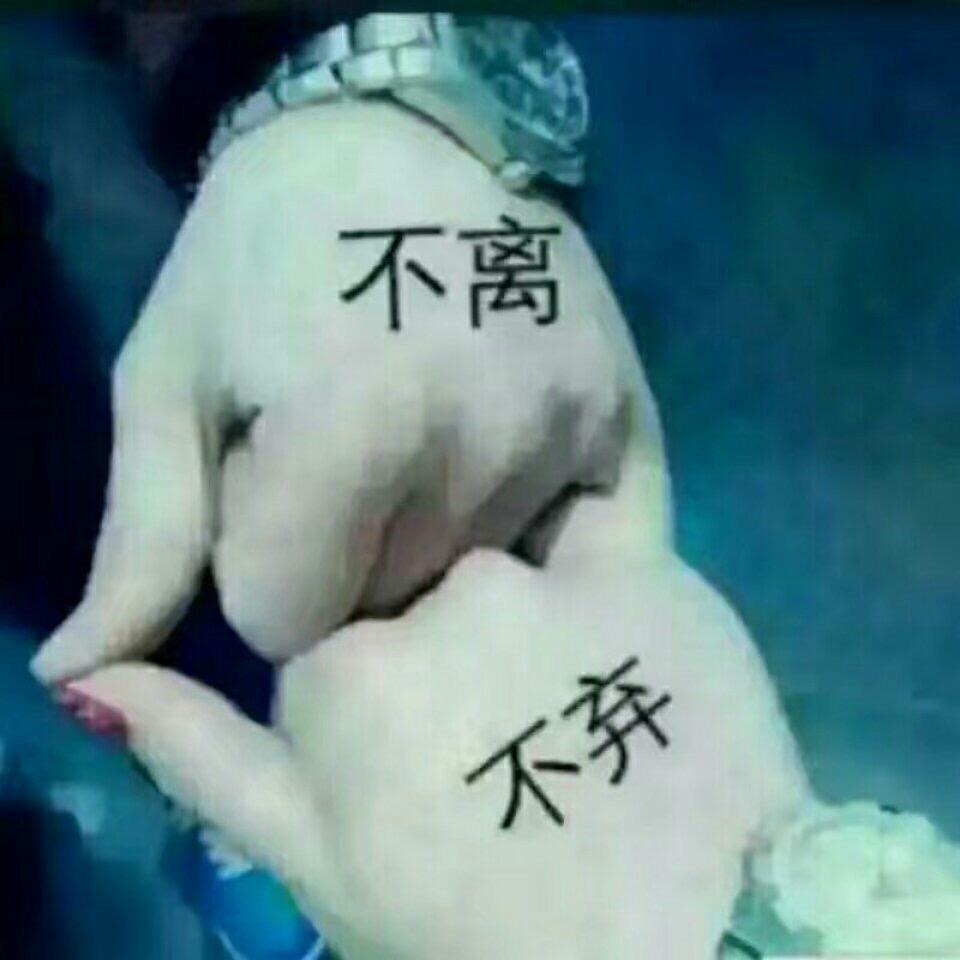 快乐老孟