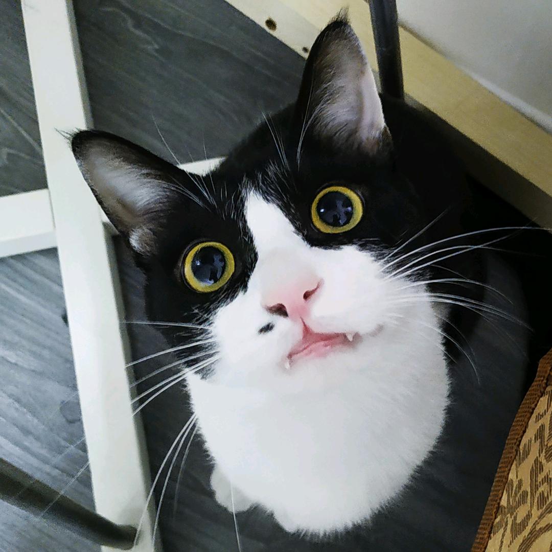 小路
