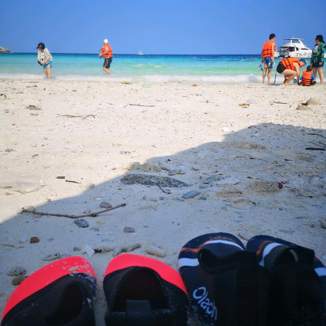 一直不想游泳的鱼