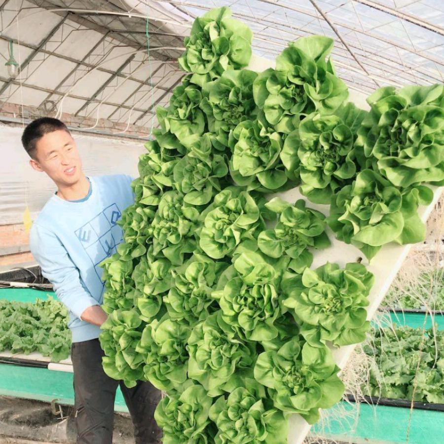 鱼菜农人