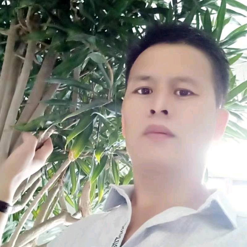 新龙
