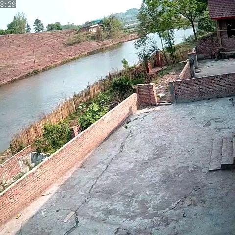 李师傅专业贴砖