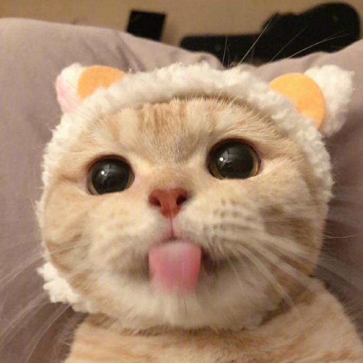 LiXiaoQi🐣